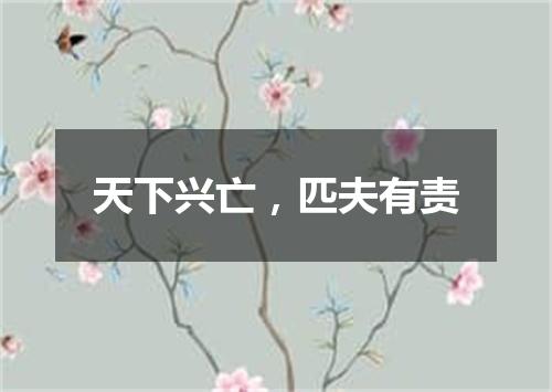 天下兴亡，匹夫有责
