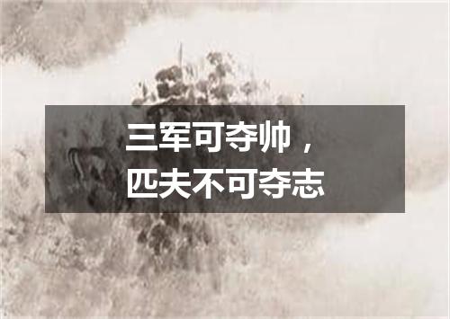 三军可夺帅，匹夫不可夺志