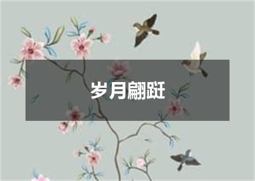 岁月翩跹