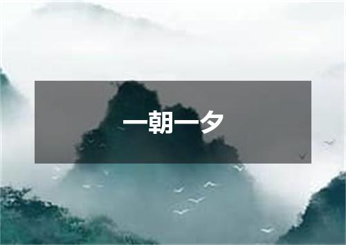 一朝一夕