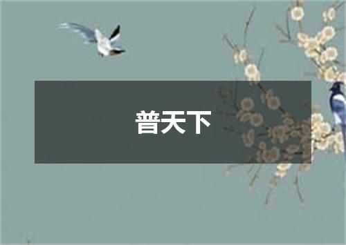 普天下