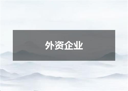 外资企业