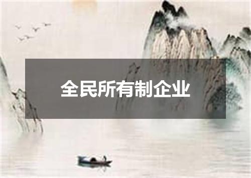 全民所有制企业