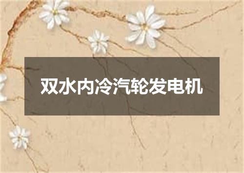双水内冷汽轮发电机