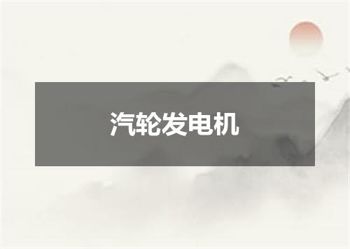 汽轮发电机