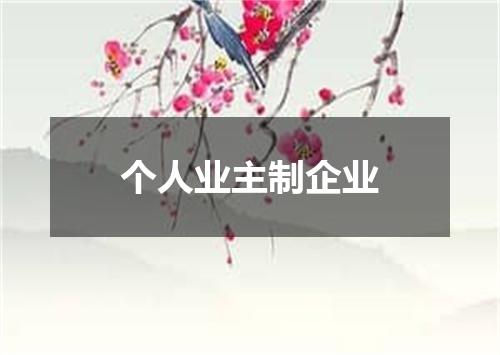 个人业主制企业