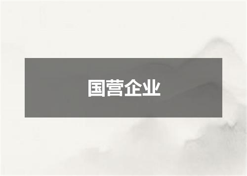 国营企业