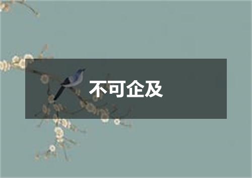 不可企及