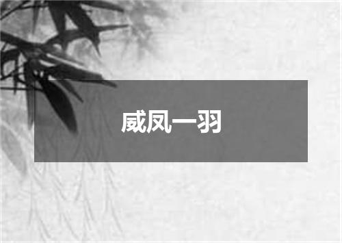 威凤一羽