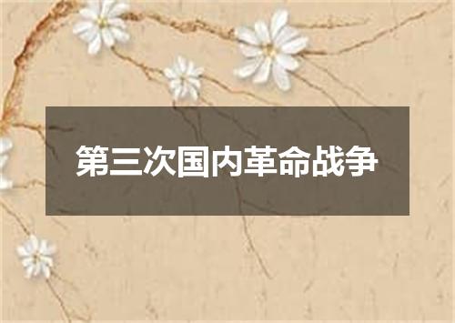 第三次国内革命战争