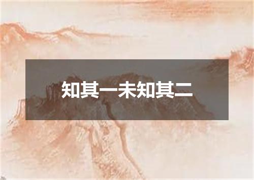 知其一未知其二