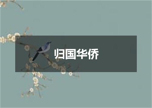 归国华侨