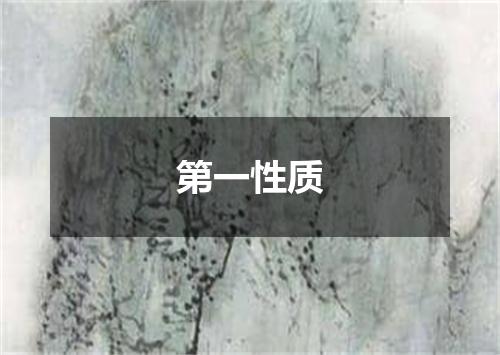第一性质