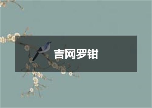 吉网罗钳