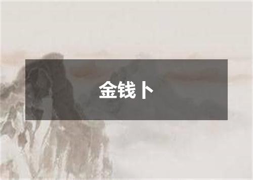 金钱卜