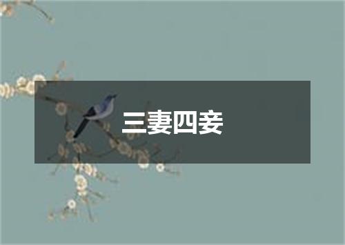 三妻四妾