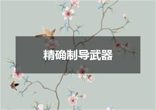 精确制导武器