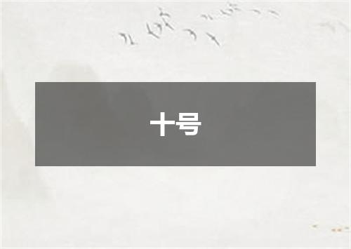 十号