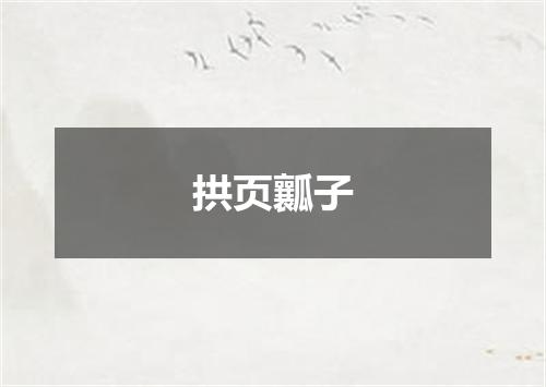 拱页瓤子