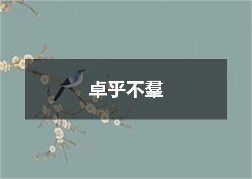 卓乎不羣