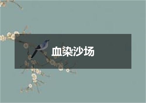 血染沙场