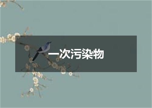 一次污染物