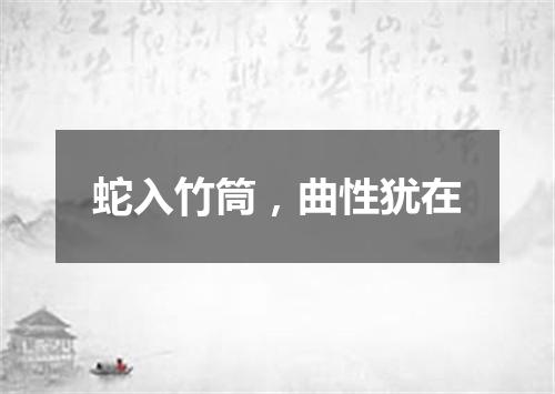 蛇入竹筒，曲性犹在