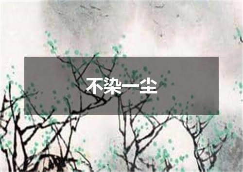 不染一尘