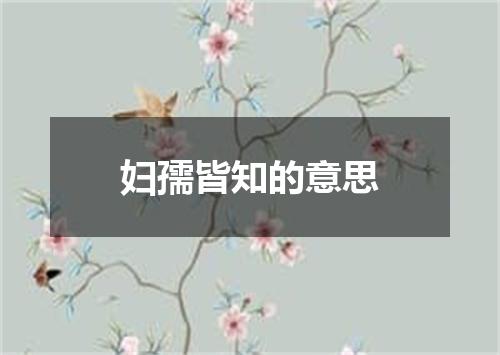 妇孺皆知的意思