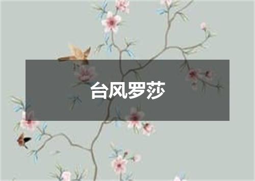 台风罗莎