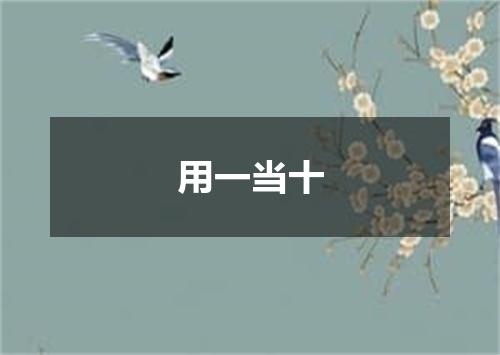 用一当十