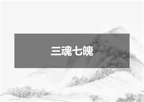 三魂七魄