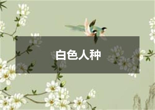 白色人种