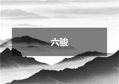六骏
