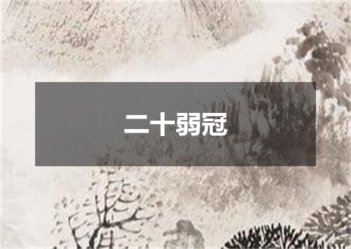 二十弱冠