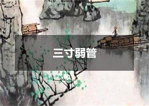 三寸弱管