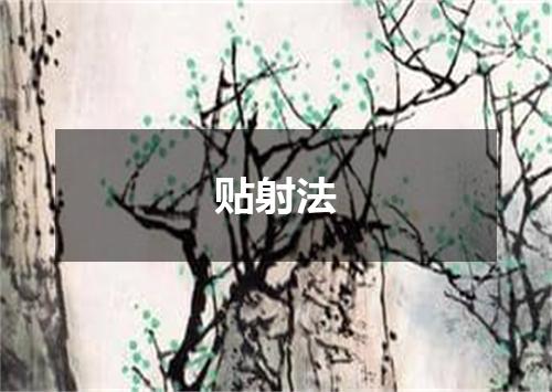 贴射法
