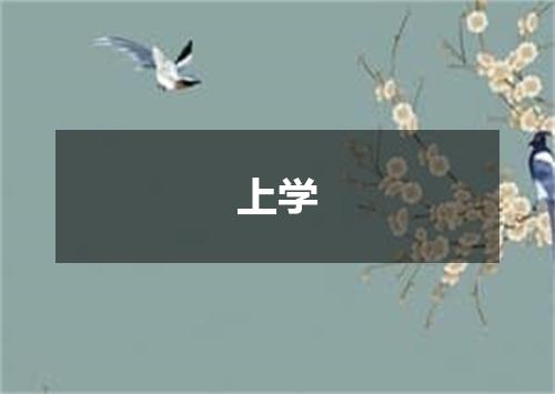 上学
