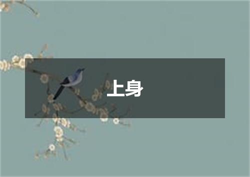 上身