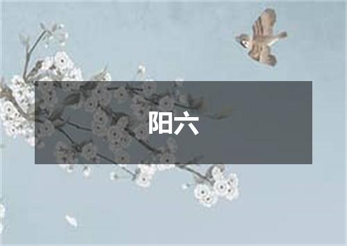 阳六