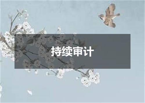 持续审计