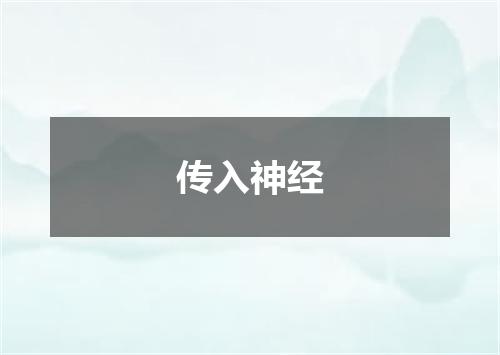 传入神经