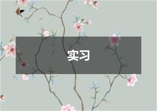 实习