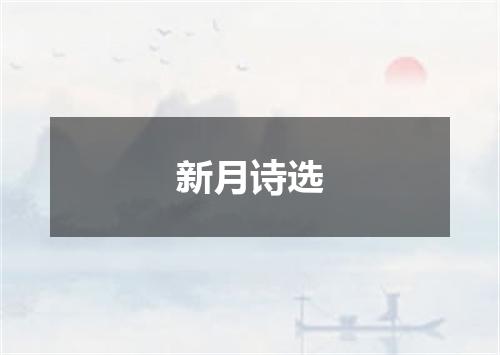 新月诗选