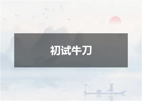 初试牛刀