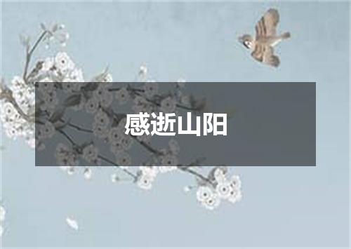 感逝山阳
