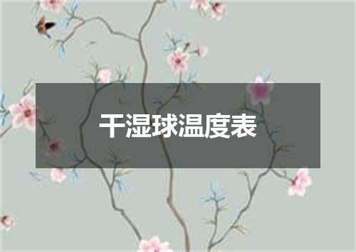 干湿球温度表