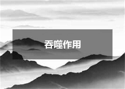 吞噬作用