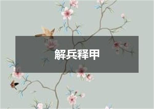 解兵释甲
