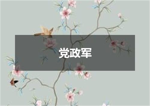 党政军